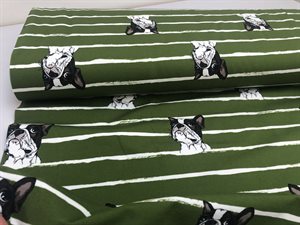 Bomuldsjersey - pistacie med bulldogs